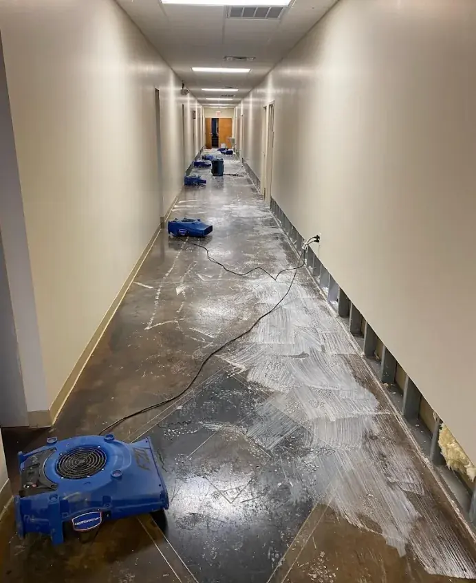 St. Louis Water Damage Pros crew drying a South County basement