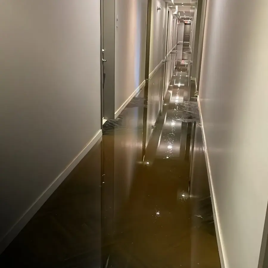 Standing water extraction in an Affton basement, St. Louis