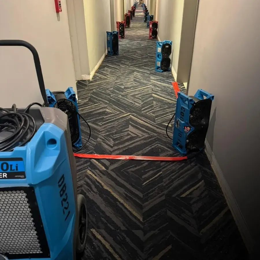 Air movers and dehumidifiers drying a St. Louis home